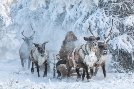 Развлечение на стойбище и дорога до Оймякона
4 день: 27 марта 2026 г. 